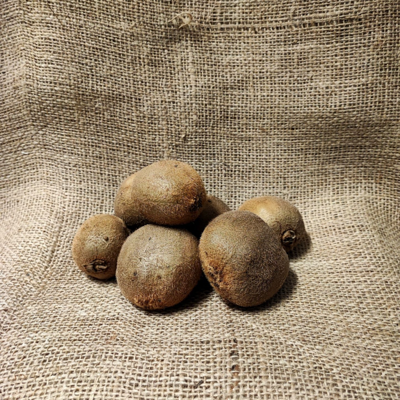 BIO Kiwi BIO Kiwi