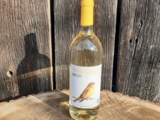 BIO Víno Pinot Grigio 2019 1l