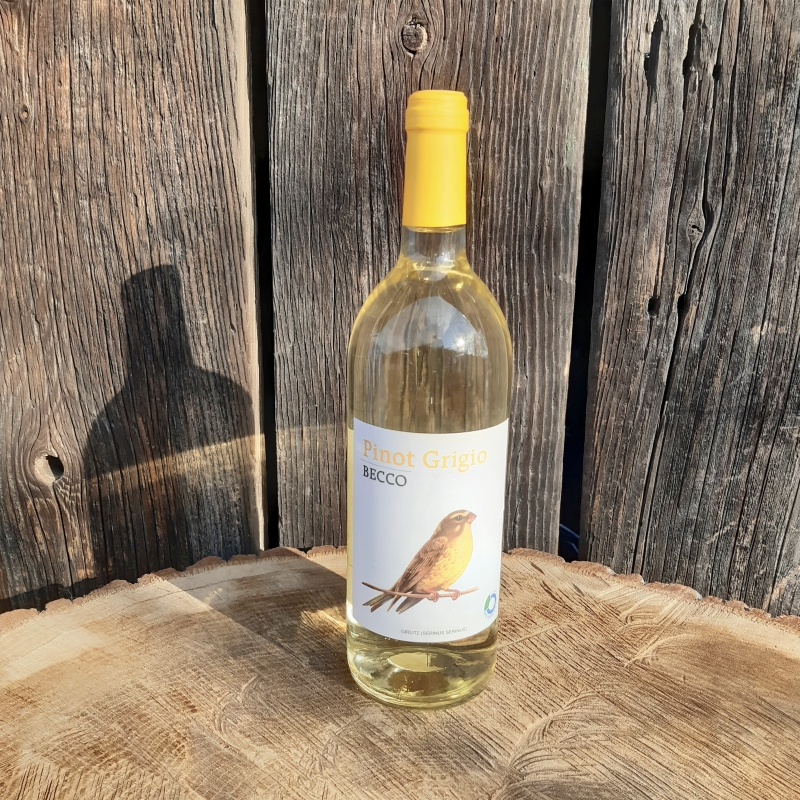 BIO Víno Pinot Grigio 2019 1 l BIO Víno Pinot Grigio 2019 1 l