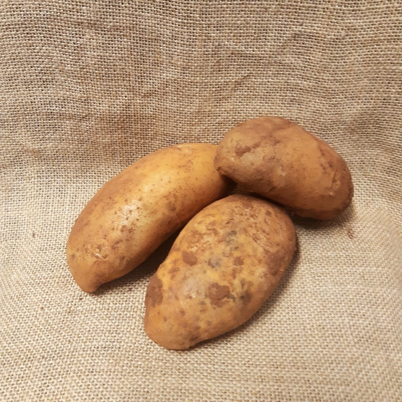 Brambory na smažení z Kréty