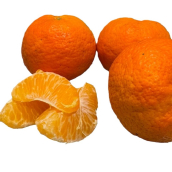 Mandarinkogrepy z Kréty DOPRODEJ