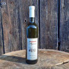 Víno Sauvignon (výběr z bobulí) 0,75l