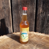 BIO Limonáda Ginger Ale 0,33 l