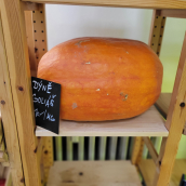 BIO Dýně Butternut