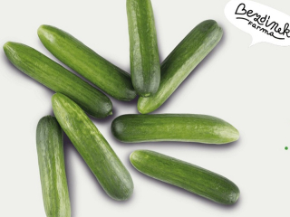 Bezdínek snack okurky