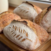 Darina Bakery Pšenično-žitný chleba