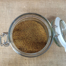 BIO Alfalfa (Tolice Vojtěška)