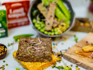Wild & Coco BIO Čočkový tempeh 170 g