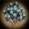 Cake pop - modrá spirulina 35 g Cake pop - modrá spirulina 35 g